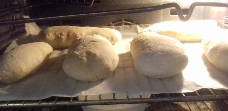 Cliquez pour zoomer ! Panini Thermomix par SophieL