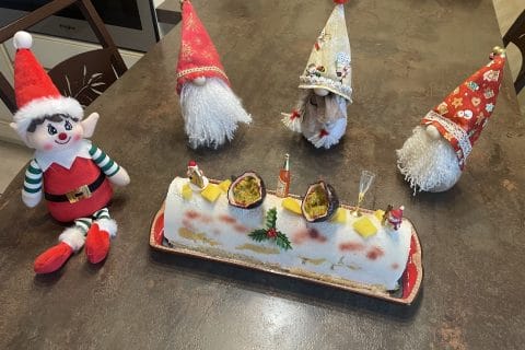 Cliquez pour zoomer ! Photo de magalimix Thermomix par magalimix