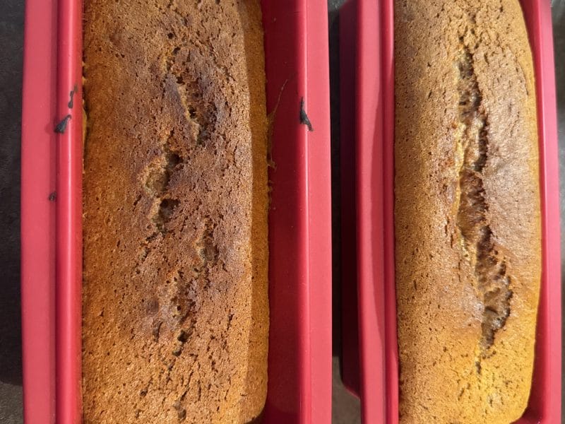 Cliquez pour zoomer ! Photo de magalimix Thermomix par magalimix