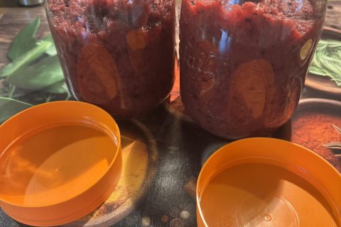 Cliquez pour zoomer ! Photo de magalimix Thermomix par magalimix