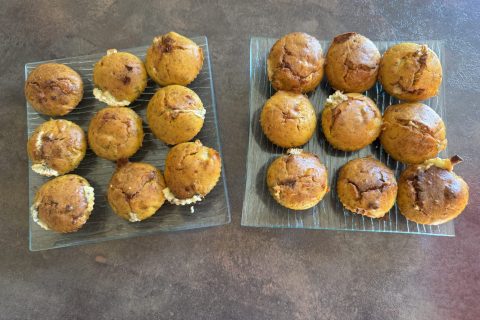 Cliquez pour zoomer ! Photo de magalimix Thermomix par magalimix