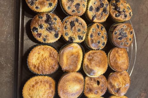 Cliquez pour zoomer ! Photo de magalimix Thermomix par magalimix