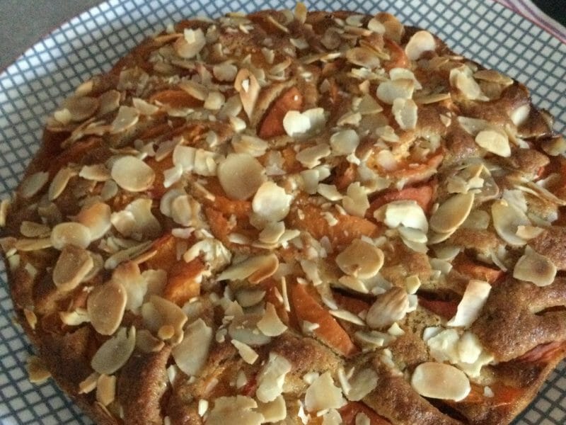 Cliquez pour zoomer ! Gâteau moelleux aux abricots Thermomix par Muffin