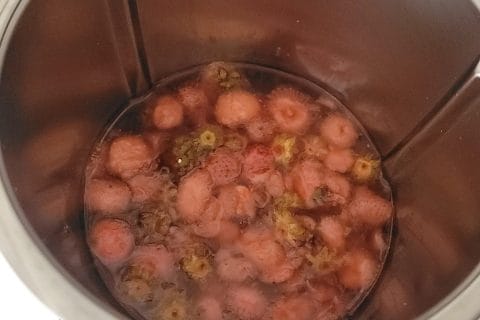 Cliquez pour zoomer ! Sirop de queues de fraises Thermomix par peggo