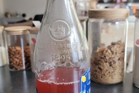 Cliquez pour zoomer ! Sirop de queues de fraises Thermomix par peggo