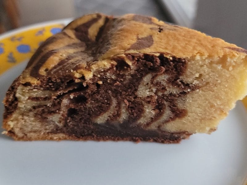 Cliquez pour zoomer ! Gâteau zébré Thermomix par peggo