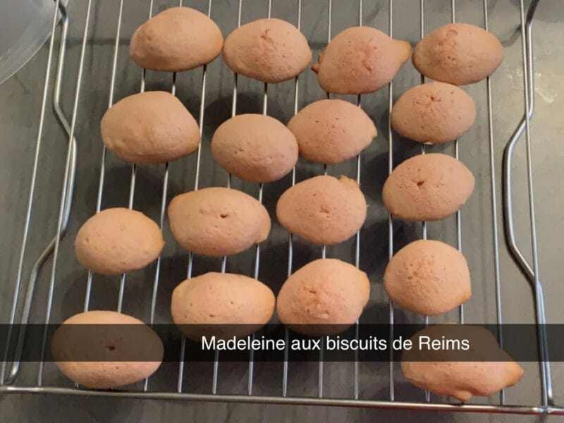 Cliquez pour zoomer ! Madeleines aux biscuits roses de Reims Thermomix par angel02