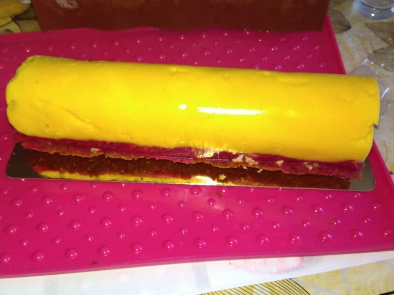Cliquez pour zoomer ! Bûche glacée mangue et framboise Thermomix par Lili24