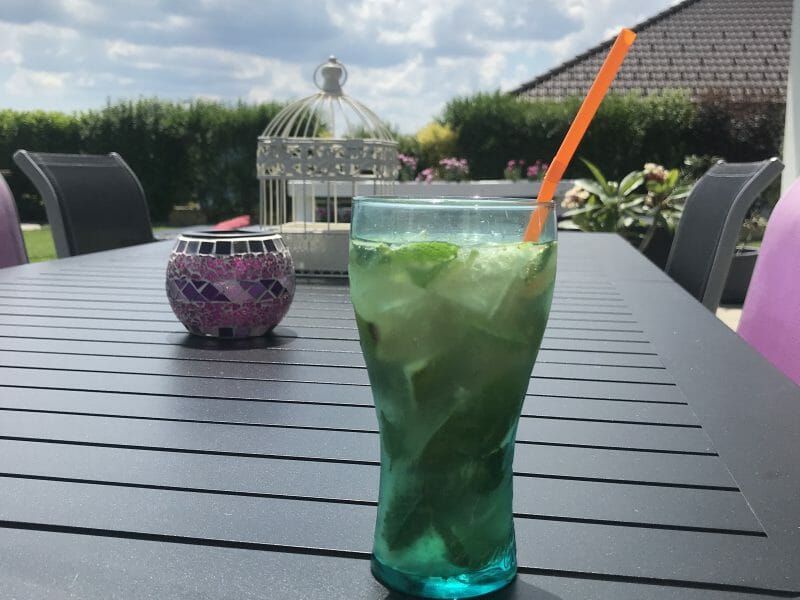 Cliquez pour zoomer ! Mojito Thermomix par Marie-Jo79
