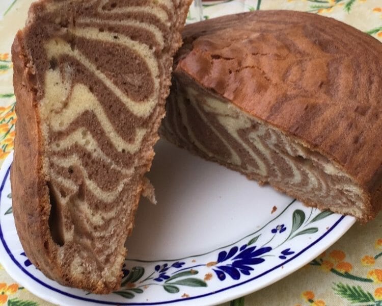 Cliquez pour zoomer ! Gâteau zébré Thermomix par Mallory30