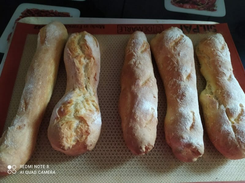 Cliquez pour zoomer ! Baguettes Thermomix par Fran031