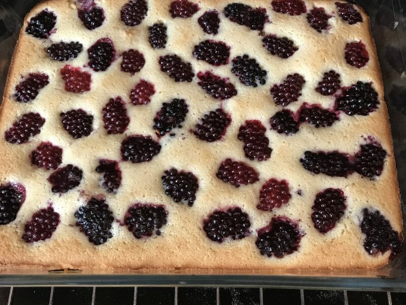 Cliquez pour zoomer ! Clafoutis aux mûres sauvages Thermomix par Hanol