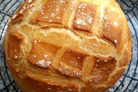 Cliquez pour zoomer ! Pain Cocotte au Thermomix