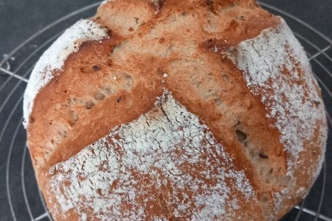 Cliquez pour zoomer ! Photo de webel