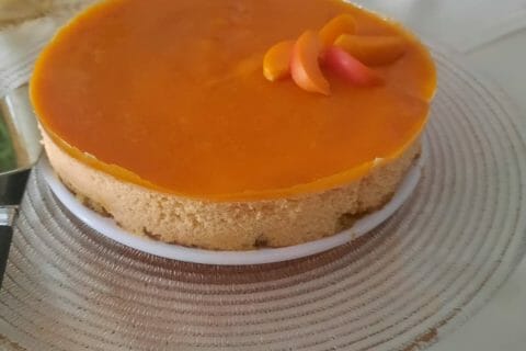Cliquez pour zoomer ! Bavarois à l’abricot Thermomix par Celinepb