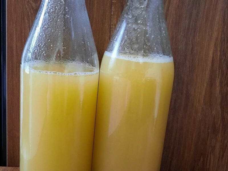 Jus De Pommes Au Thermomix Cookomix