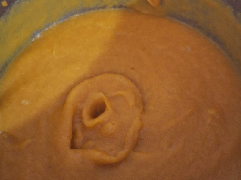 Cliquez pour zoomer ! Purée de carottes Thermomix par Celine021