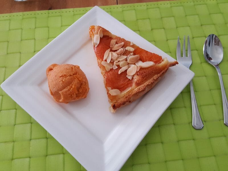 Cliquez pour zoomer ! Sorbet à l’abricot Thermomix par Celine84