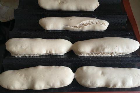 Cliquez pour zoomer ! Panini Thermomix par Ncelard