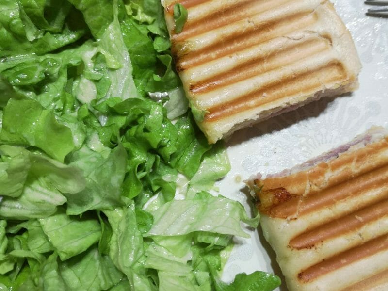 Cliquez pour zoomer ! Panini Thermomix par Ncelard