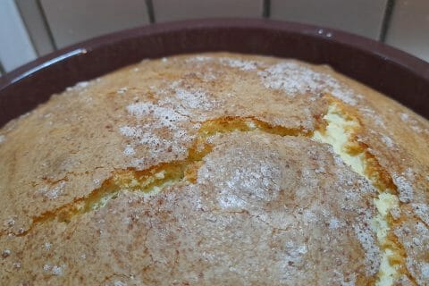 Cliquez pour zoomer ! Le gâteau suédois de Castor Thermomix par BZHSandra