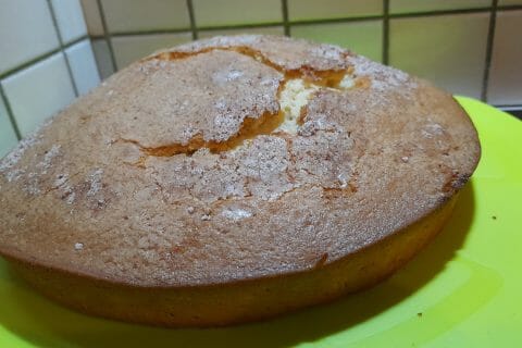 Cliquez pour zoomer ! Le gâteau suédois de Castor Thermomix par BZHSandra