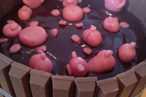 Cliquez pour zoomer ! La mare aux cochons Thermomix par Celine.Lgz