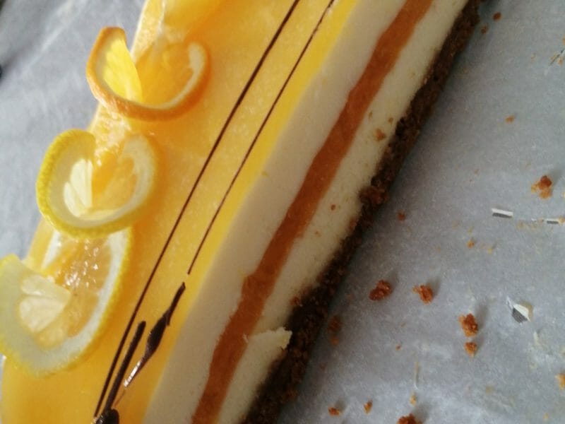 Cliquez pour zoomer ! Bavarois au citron Thermomix par Fée clochette 85