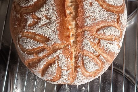 Cliquez pour zoomer ! Photo de maude2528