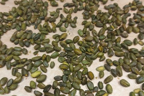 Cliquez pour zoomer ! Pâte de pistache Thermomix par VanessaG67