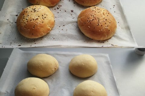 Cliquez pour zoomer ! Pains hamburger au Thermomix