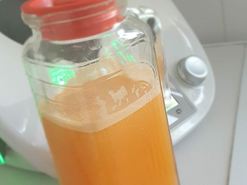 Cliquez pour zoomer ! Jus de fruits ACE Thermomix par didine30