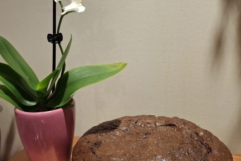 Cliquez pour zoomer ! Fondant au chocolat Thermomix par belette3324