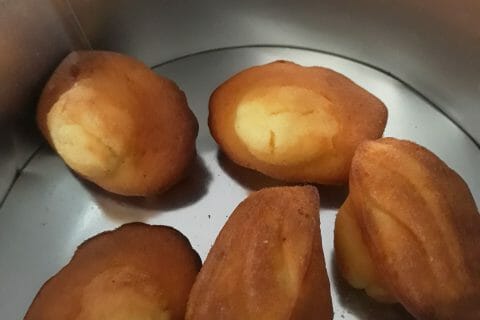 Cliquez pour zoomer ! image-e6ce03c8-1941-431c-94e0-0fe77113bf9b