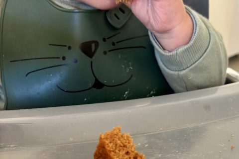 Cliquez pour zoomer ! Moelleux aux spéculoos Thermomix par Céline