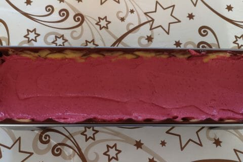 Cliquez pour zoomer ! Bûche glacée mangue et framboise Thermomix par AbigailB