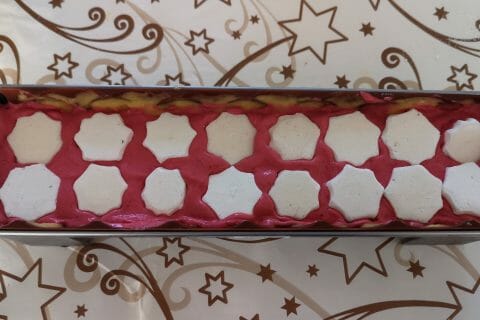 Cliquez pour zoomer ! Bûche glacée mangue et framboise Thermomix par AbigailB