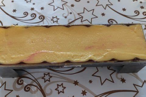 Cliquez pour zoomer ! Bûche glacée mangue et framboise Thermomix par AbigailB