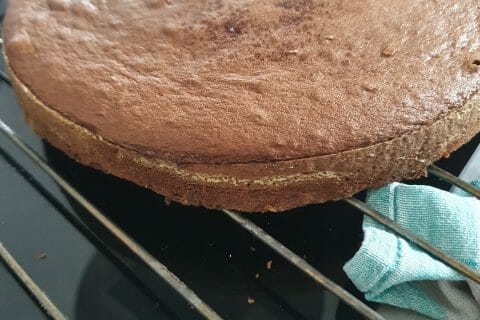 Cliquez pour zoomer ! image-e481a747-1893-4c51-ba85-c6a8580f4d3a