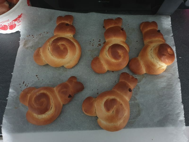 Cliquez pour zoomer ! Brioches lapin de Pâques Thermomix par Somat