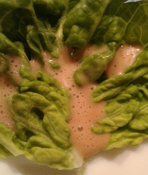 Cliquez pour zoomer ! Vinaigrette allégée Thermomix par Malain