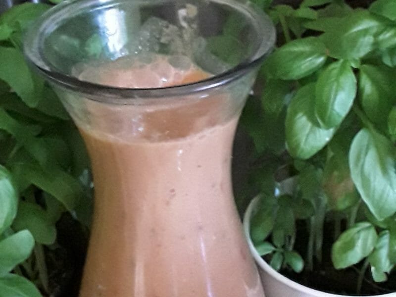 Cliquez pour zoomer ! Gaspacho Andalou Thermomix par Malain