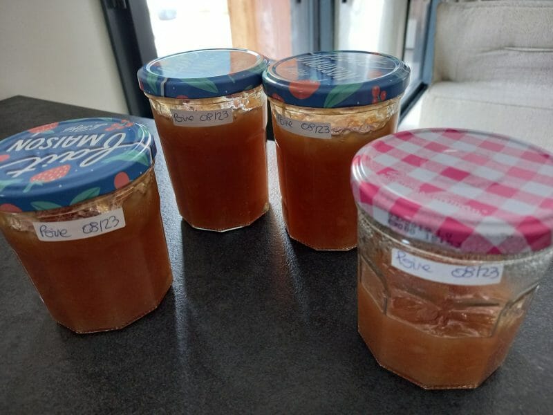Cliquez pour zoomer ! Confiture de poires à la cannelle Thermomix par fabie38