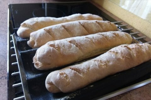 Cliquez pour zoomer ! 20191011_141248