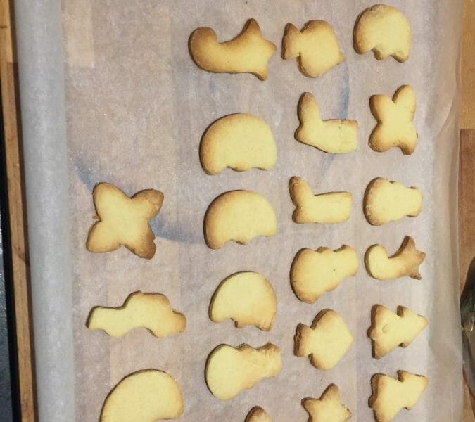 Cliquez pour zoomer ! Schwowebredele Thermomix par Manon_23