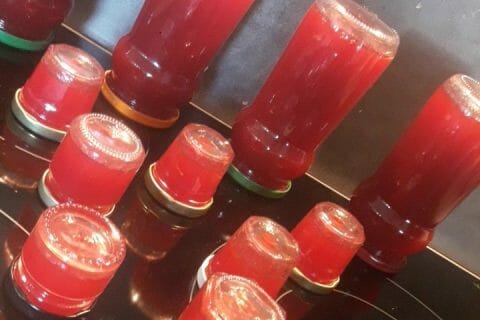 Cliquez pour zoomer ! Gelée de groseilles au Thermomix