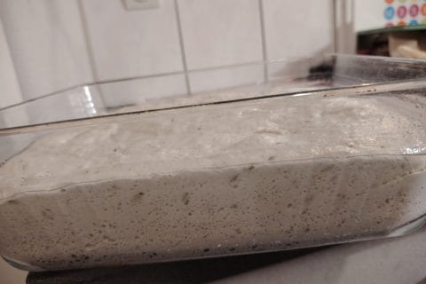 Cliquez pour zoomer ! Pinsa romana Thermomix par SeseNonoLeoLuka