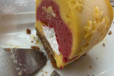 Cliquez pour zoomer ! Bûche glacée mangue et framboise Thermomix par Camille2410