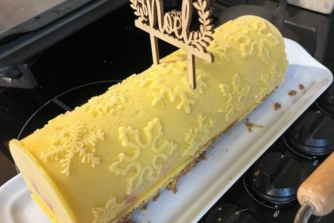 Cliquez pour zoomer ! Bûche glacée mangue et framboise Thermomix par Camille2410