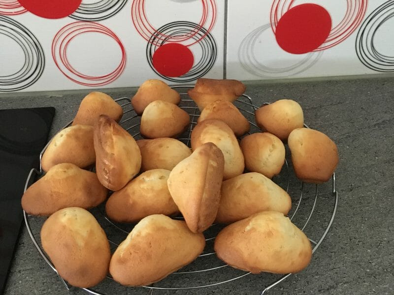 Cliquez pour zoomer ! Madeleines Thermomix par nadege3487